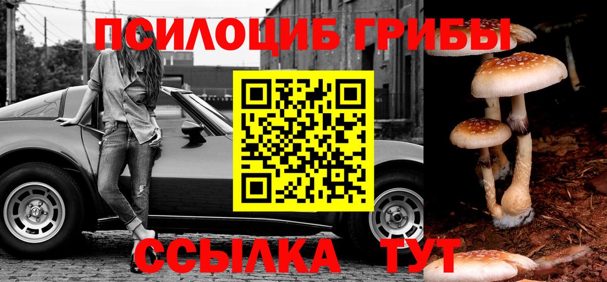 Псилоцибиновые грибы ЛСД  Псилоцибиновые грибы ЛСД  Северобайкальск  Вход с VPN 